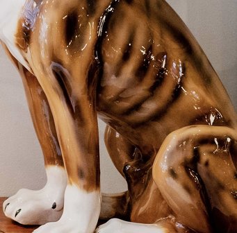Vintage keramieken porseleinen beeld hond boxer | Sprinkelhop