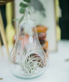 Glazen (hang)pot peer | Sprinkel + Hop
