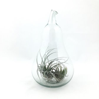 Glazen (hang)pot peer | Sprinkel + Hop