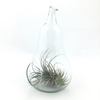 Glazen (hang)pot peer | Sprinkel + Hop