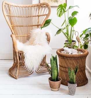 Vintage Rohe rotan pauwenstoel troon | Sprinkel + Hop