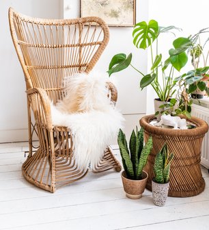 Vintage Rohe rotan pauwenstoel troon | Sprinkel + Hop