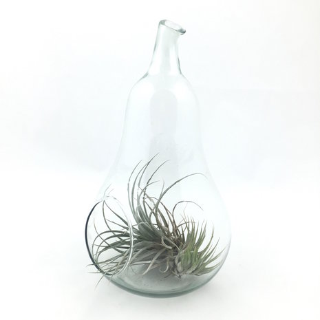 Glazen (hang)pot peer | Sprinkel + Hop