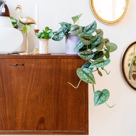 Vintage teak houten klepkastje hangend | Sprinkel + Hop